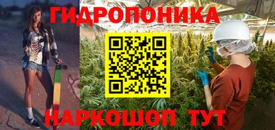Альфа ПВП Сланцы